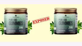 Regen CBD Gummies-1.jpg