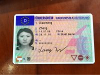 german-driving-license.jpg