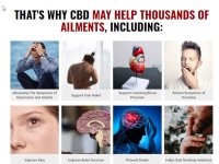 Martha MacCallum CBD Gummies1.jpg