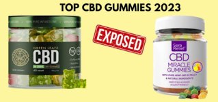 Anatomy One CBD Gummies.jpg