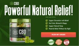 Evergreen CBD Gummies USA.JPG