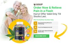 Canna Bee CBD Gummies.JPG